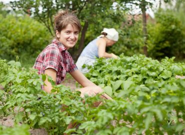 shutterstock_86261320